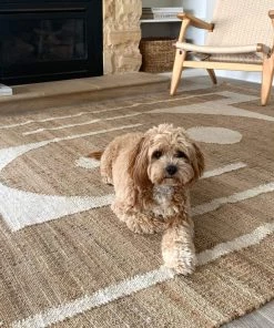 Miss Amara All Rugs Aranda Brown And Cream Modern Geometric Jute Rug