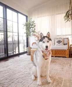 Miss Amara Charla Ivory And Beige Floral Distressed Rug