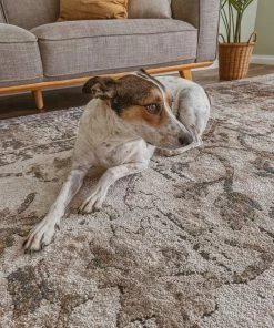 Miss Amara Constance Beige And Blue Distressed Floral Rug