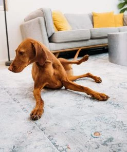 Miss Amara All Rugs Elisha Grey And Blue Traditional Distressed Medallion Rug