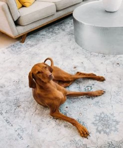 Miss Amara All Rugs Elisha Grey And Blue Traditional Distressed Medallion Rug