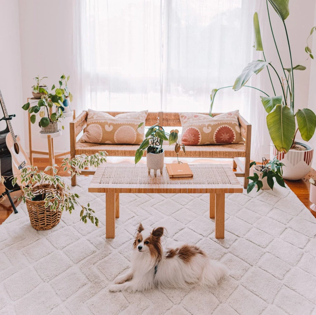 Miss Amara Gia Ivory Diamond Tribal PET Shag Rug All Rugs