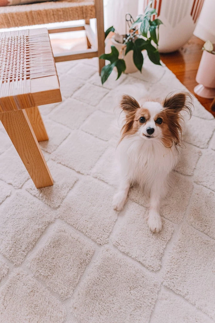 Miss Amara Gia Ivory Diamond Tribal PET Shag Rug All Rugs