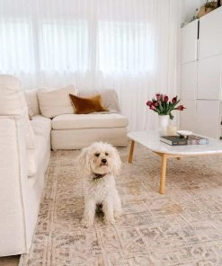 Miss Amara Iggie Mustard Ivory And Beige Floral Distressed Rug All Rugs