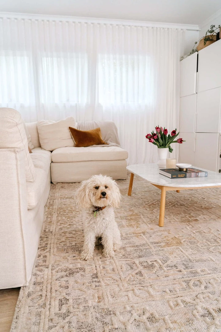 Miss Amara Iggie Mustard Ivory And Beige Floral Distressed Rug All Rugs