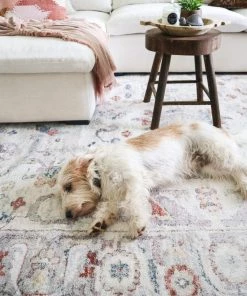 Miss Amara Jinnie Cream And Purple Multi-Colour Distressed Rug All Rugs