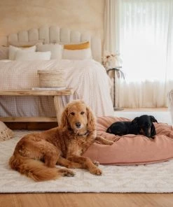 Miss Amara All Rugs Josephine Ivory And Cream Tribal Transitional Rug