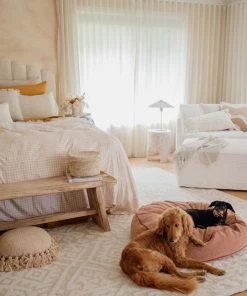 Miss Amara All Rugs Josephine Ivory And Cream Tribal Transitional Rug