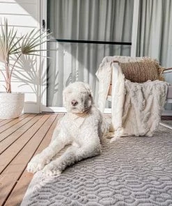 Miss Amara June Grey And Ivory Indoor Outdoor PET Rug