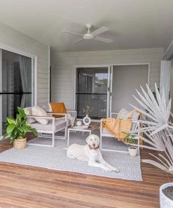 Miss Amara June Grey And Ivory Indoor Outdoor PET Rug