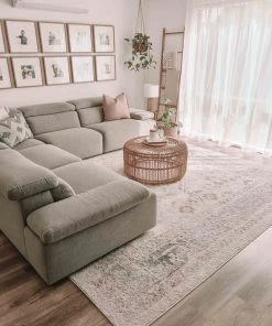 Miss Amara Katya Cream And Grey Multi-Colour Traditional Floral Rug