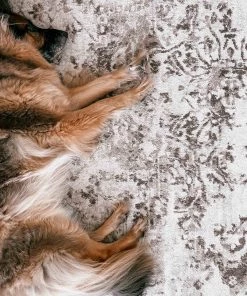 Miss Amara Liliana Cream And Brown Traditional Distressed Floral Rug All Rugs