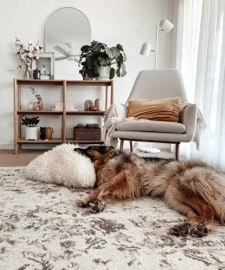 Miss Amara Liliana Cream And Brown Traditional Distressed Floral Rug All Rugs