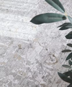 Miss Amara All Rugs Louise Grey Ivory And Beige Distressed Floral Rug