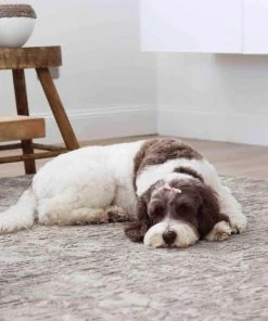 Miss Amara Maeve Light Grey Ivory And Cream Traditional Floral Rug