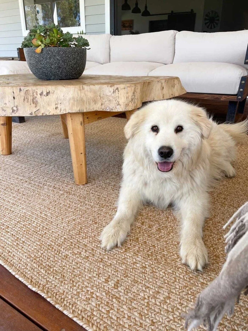 Miss Amara Malia Beige Braided Flatweave Indoor Outdoor Rug All Rugs