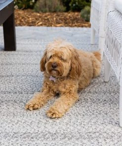 Miss Amara All Rugs Mika Grey Braided Flatweave Indoor Outdoor Rug