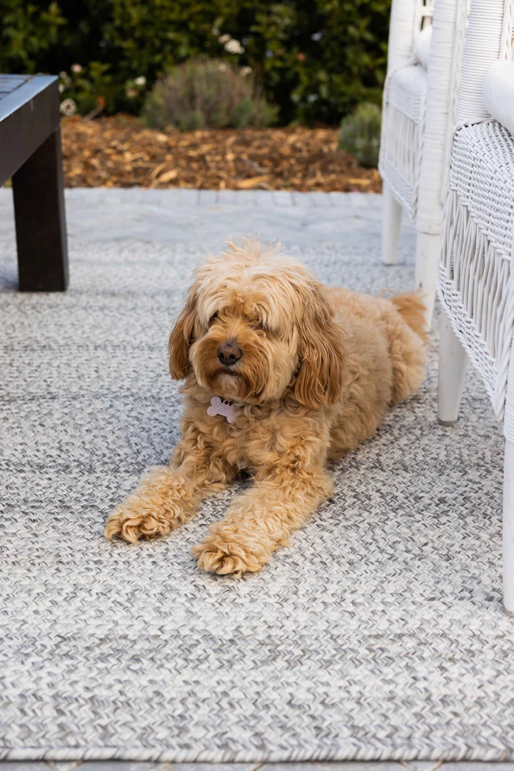 Miss Amara All Rugs Mika Grey Braided Flatweave Indoor Outdoor Rug