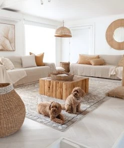 Miss Amara All Rugs Moema Beige And Grey Transitional Tribal Rug