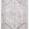 Miss Amara Morgan Beige And Brown Transitional Distressed Medallion Rug