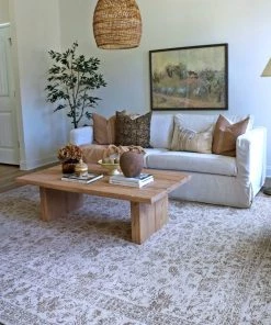 Miss Amara Moselle Beige And Brown Floral Distressed Rug