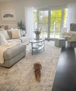 Miss Amara Pilar Grey Ivory And Blue Traditional Floral Rug All Rugs