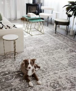 Miss Amara All Rugs Raina Charcoal Grey And Ivory Traditional Distressed Rug