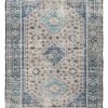 Miss Amara All Rugs Ranya Blue And Grey Floral Distressed Rug