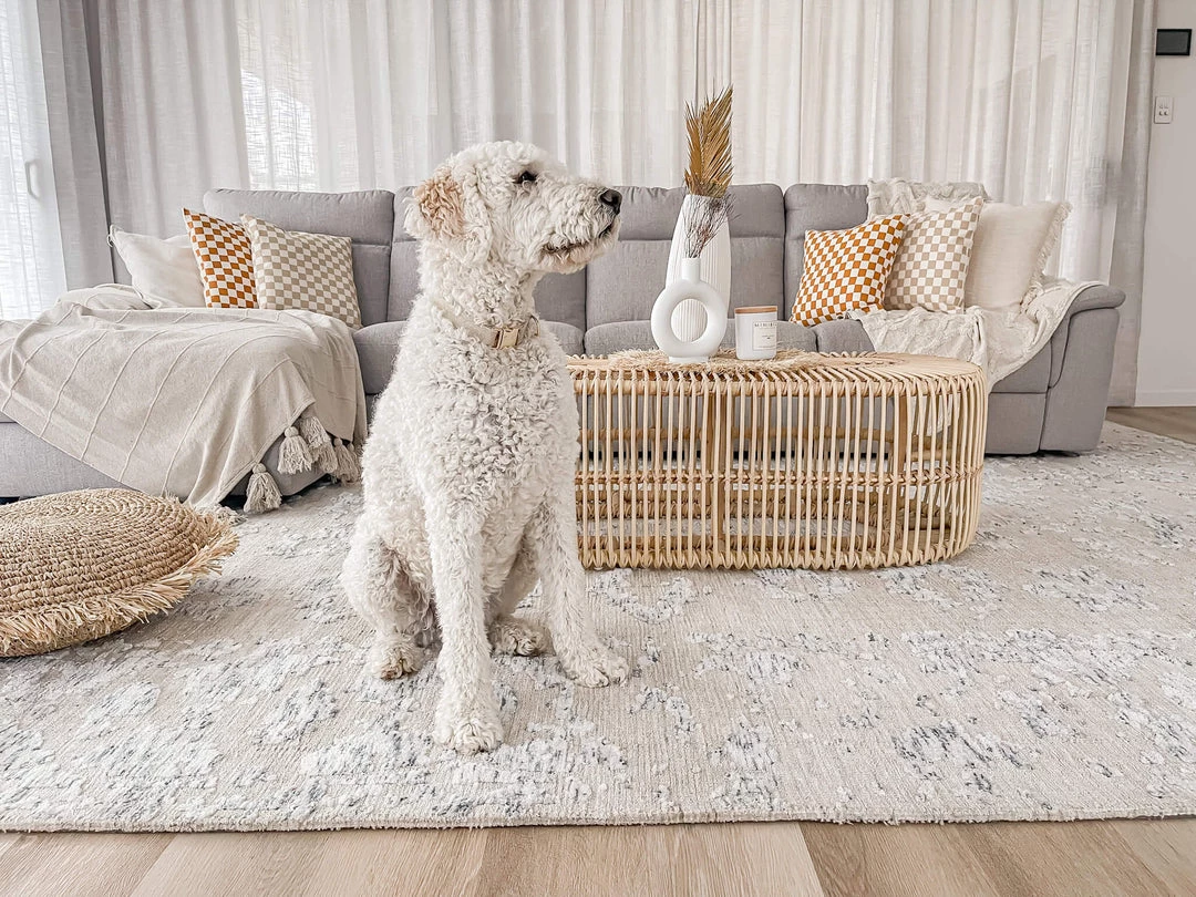 Miss Amara Sylvie Blue And Ivory Floral Transitional Rug