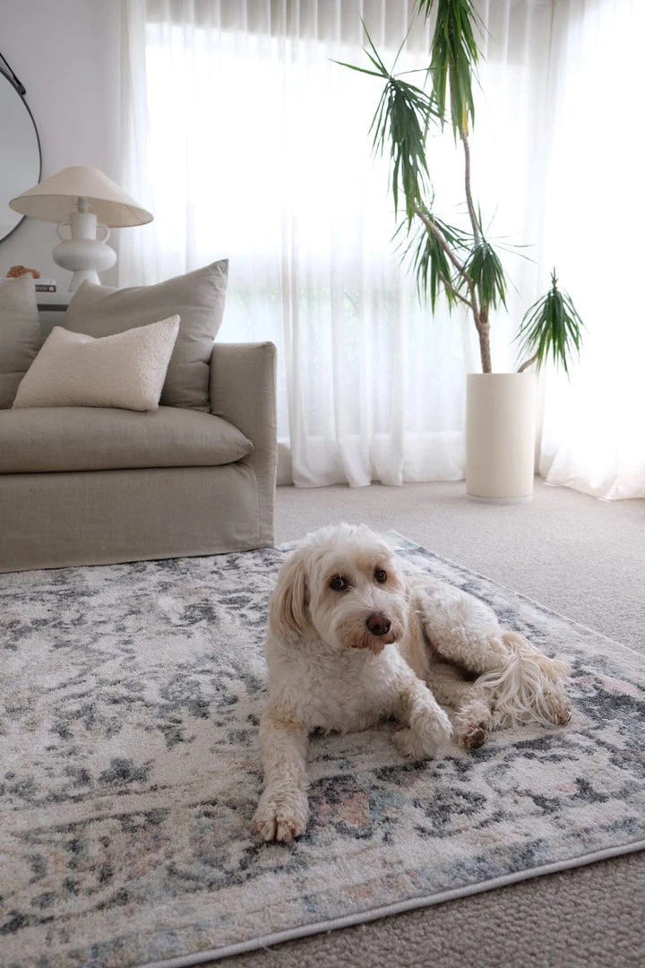 Miss Amara Thea Cream And Grey Traditional Medallion Floral Rug