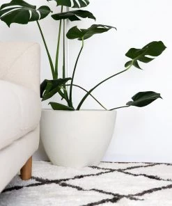 Miss Amara Tuva Ivory And Charcoal Grey Tribal Shag Rug All Rugs