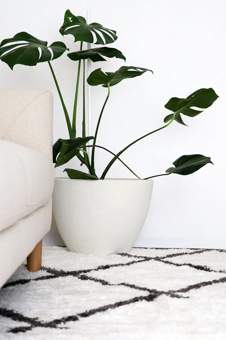 Miss Amara Tuva Ivory And Charcoal Grey Tribal Shag Rug All Rugs