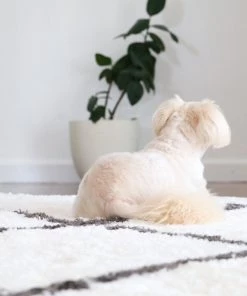 Miss Amara Tuva Ivory And Charcoal Grey Tribal Shag Rug All Rugs