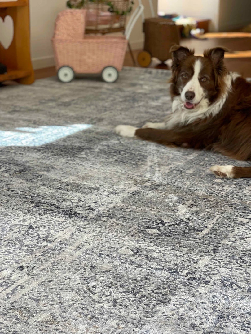 Miss Amara All Rugs Ulyana Blue And Beige Faded Transitional Rug